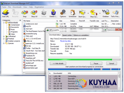 Download Internet Download Manager Full Crack