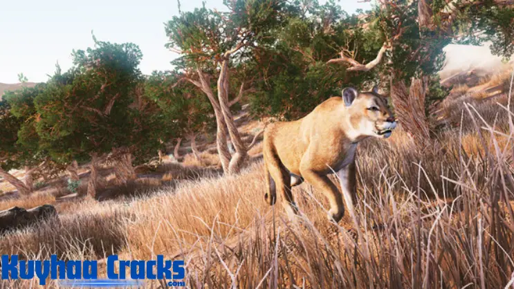 Hunting Simulator PC Repack Free Download