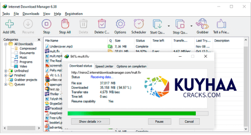 IDM Terbaru 6.42 Build 10 Final Full Version
