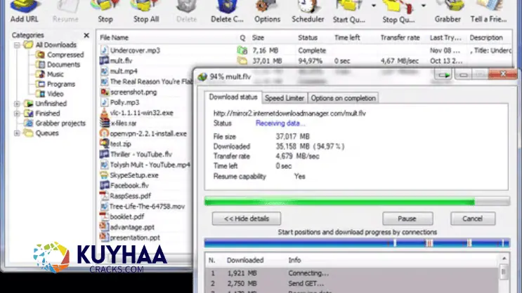 Download IDM Terbaru Full Crack