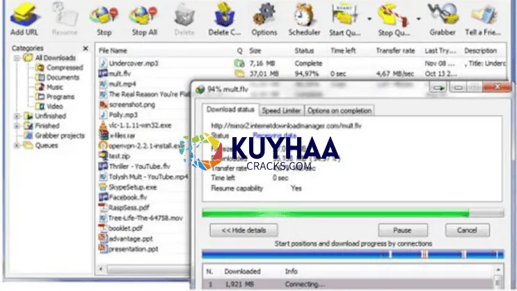 Internet Download Manager [IDM] 6.33 Build 3 Repack