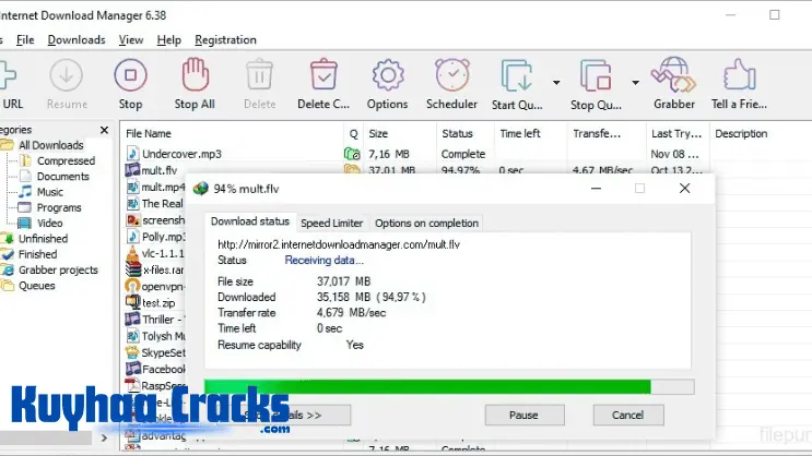 Internet Download Manager v6.42 Build 7