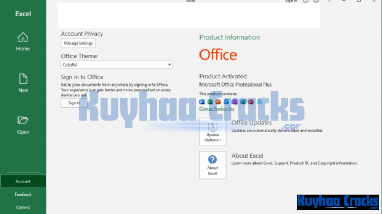 Microsoft Office 2019 Pro Plus